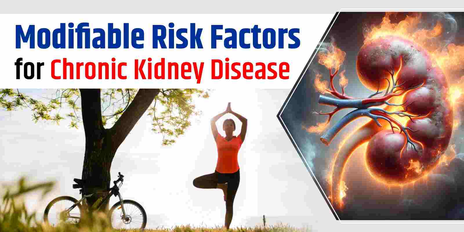 Modifiable Risk Factors for Chronic Kidney Disease
